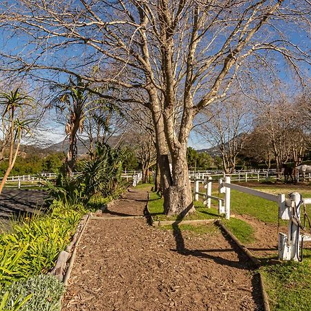Novelle Vista Cottage Hout Bay Luaran gambar