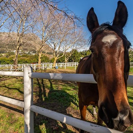 Novelle Vista Cottage Hout Bay Luaran gambar