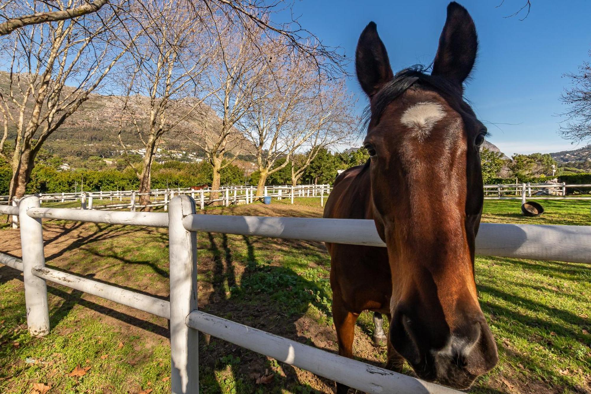 Novelle Vista Cottage Hout Bay Luaran gambar